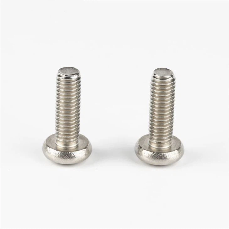 China Hot Sale Custom Stainless Steel Torx Screw