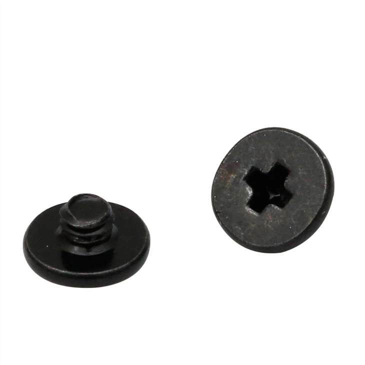 Large flat phillips head precision tiny screw