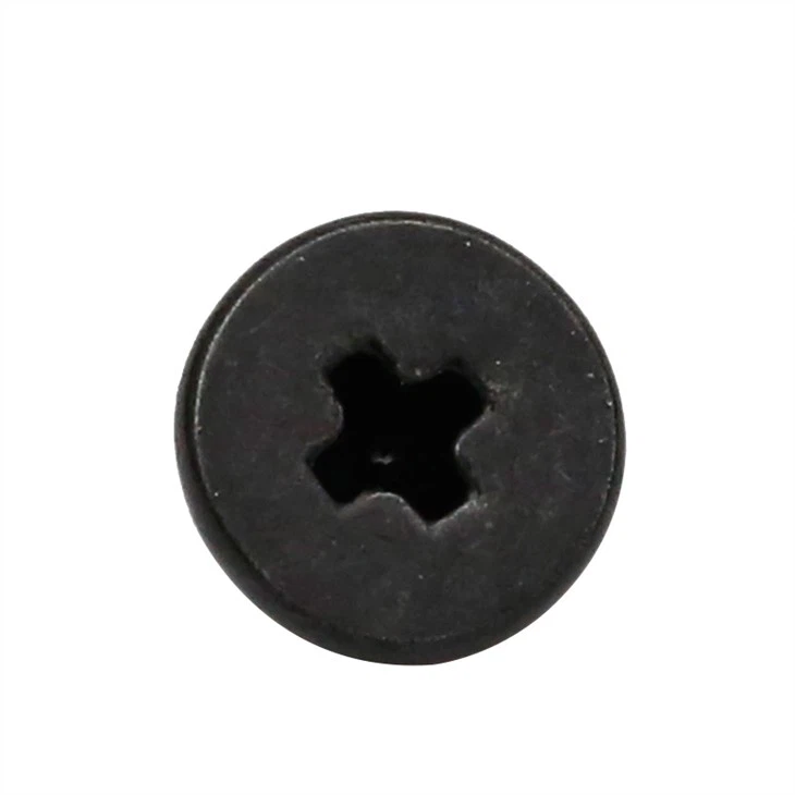 Large flat phillips head precision tiny screw