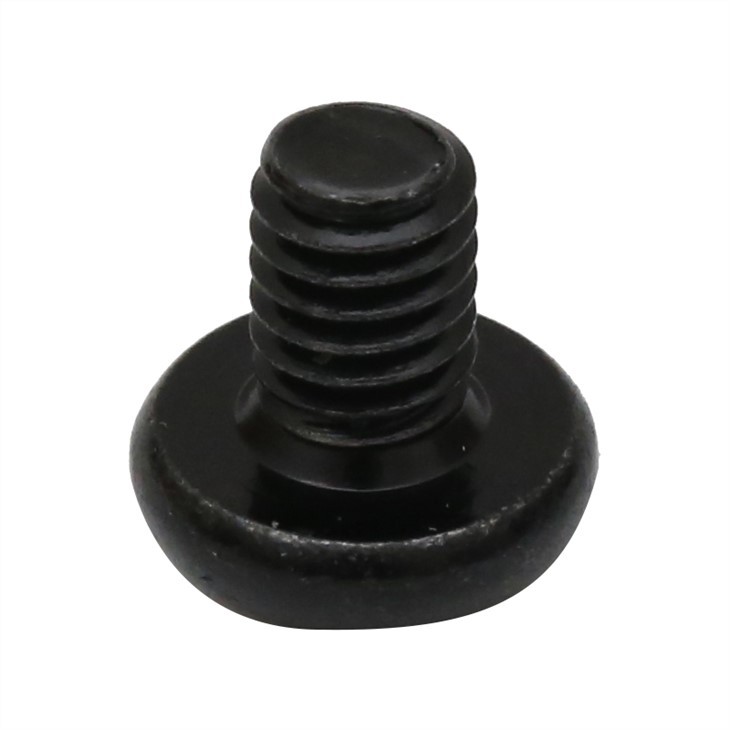 Small phillips black anodized screw