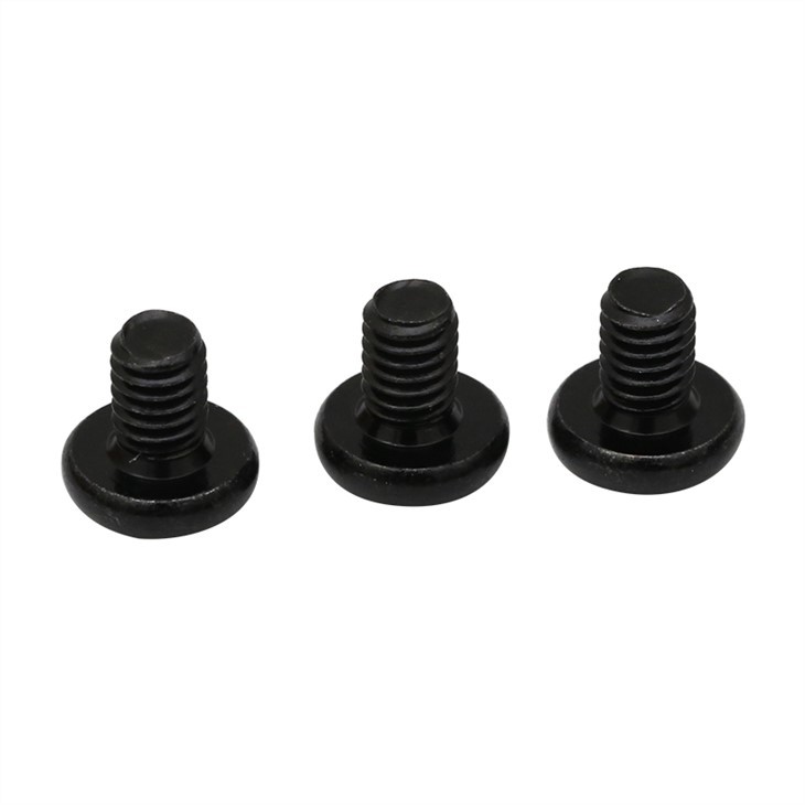 Small phillips black anodized screw