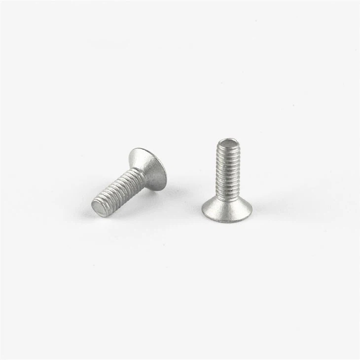 White zinc small computer screw