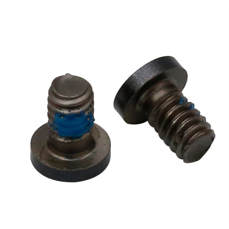 Small torx black micro screws