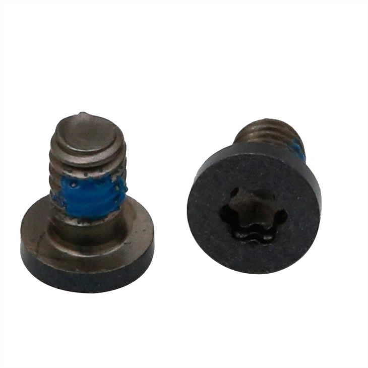 Small torx black micro screws