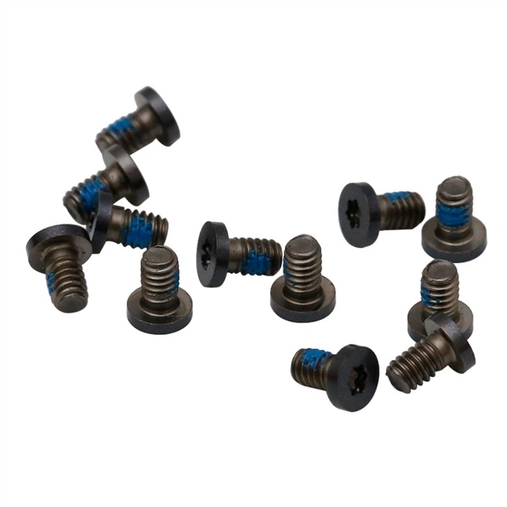 Small torx black micro screws