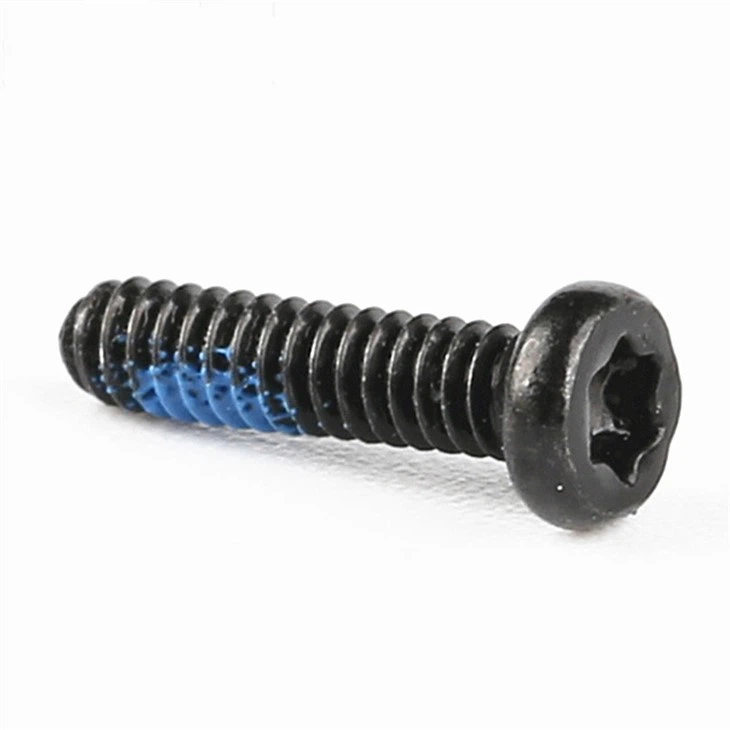 Stainless Steel Black Torx Screw