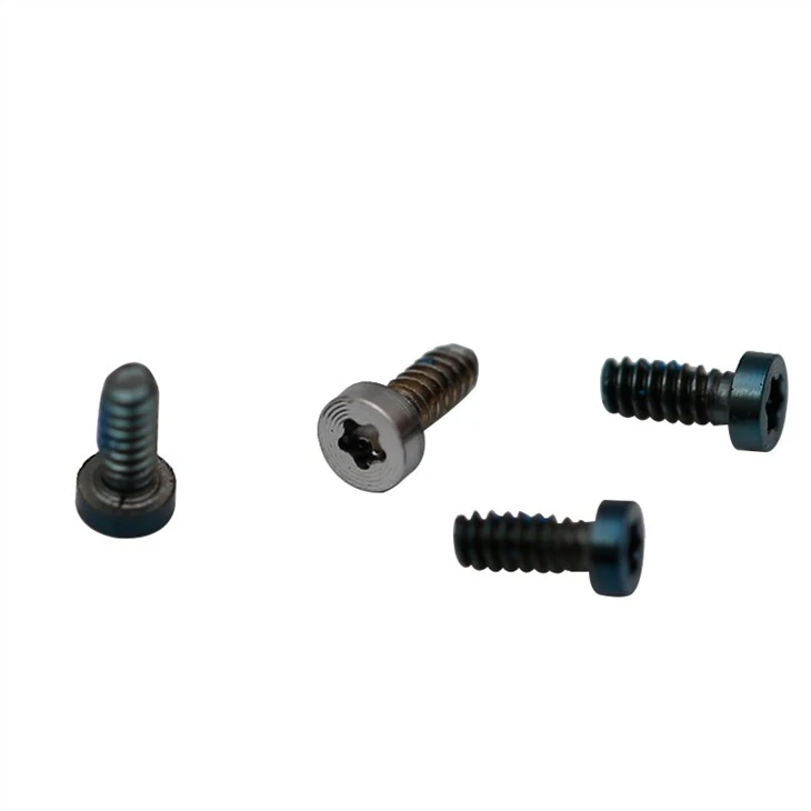 Small black flat head torx screw