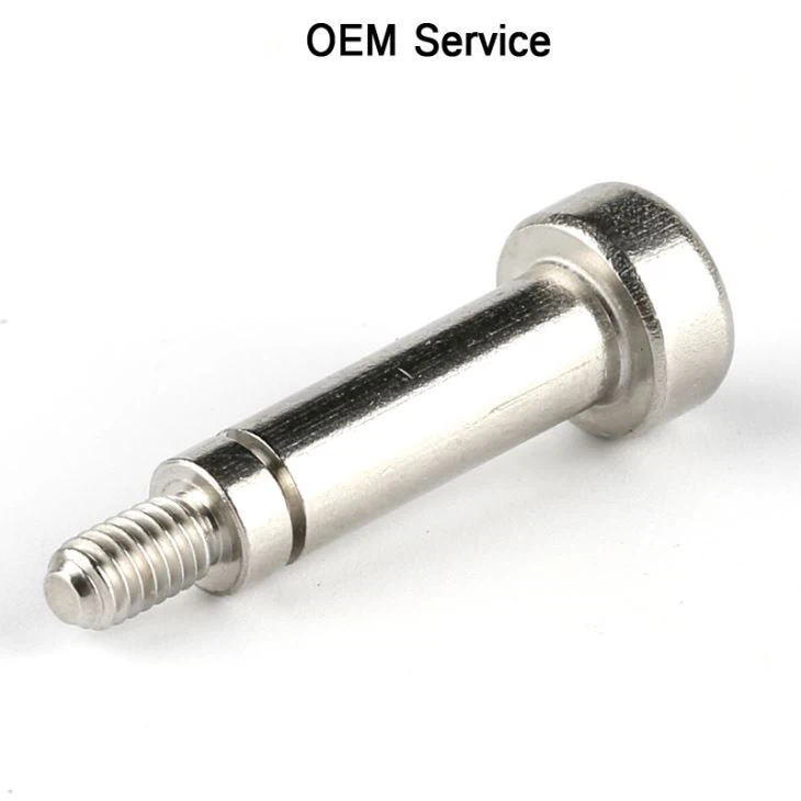 Steel Chess Head Torx Step Screw