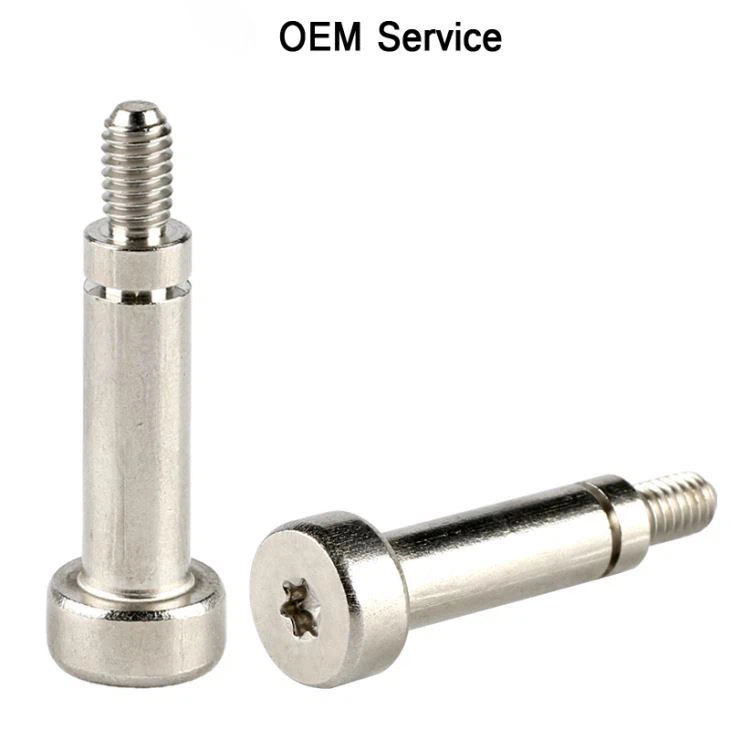 Steel Chess Head Torx Step Screw