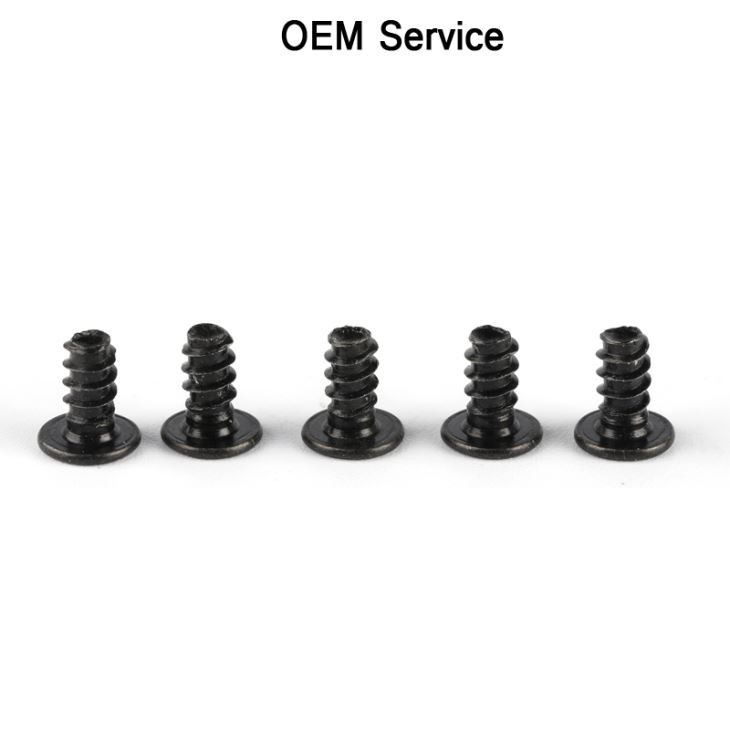 Black Small Self Tapping Screws