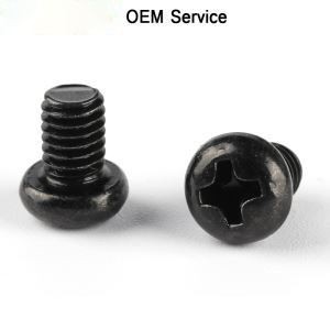 Stainless Steel Black Phillips Tiny M1 Screws