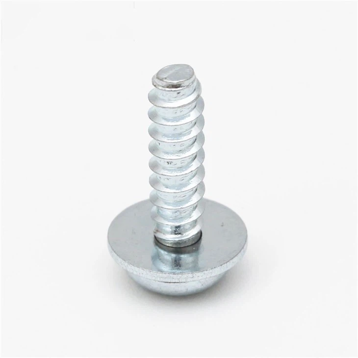 Stainless Steel Phillips Self Tapping Screw