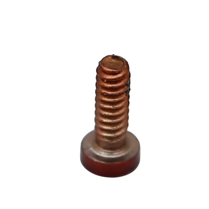 OEM torx small M1.4 electronic screw with nylok